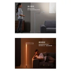 Dyson 戴森 ( CF06 ) 落地燈／立燈 + ( CD06 ) 檯燈／桌燈