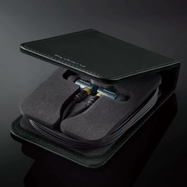 Panasonic國際牌 Technics有線入耳式耳機 10mm驅動器EAH-TZ700