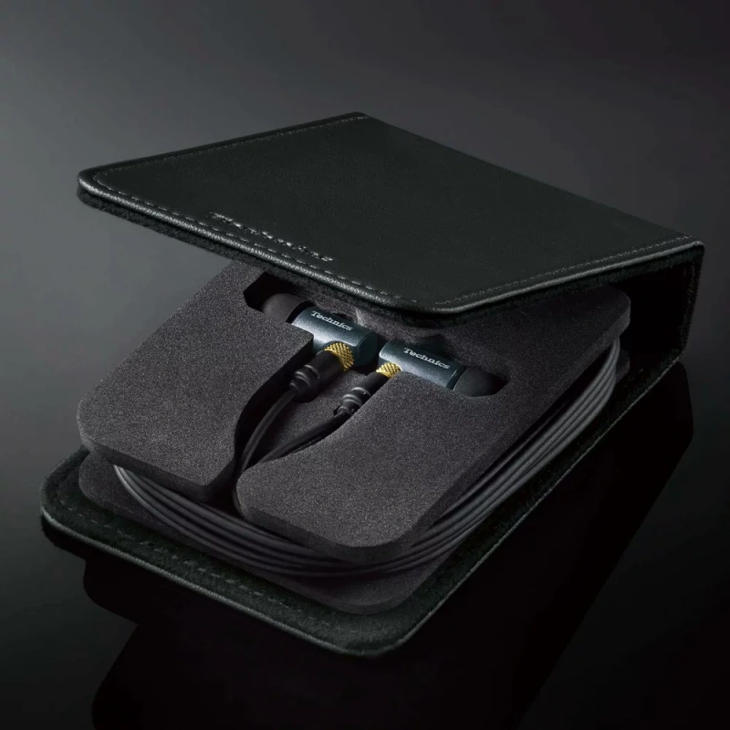 Panasonic國際牌 Technics有線入耳式耳機 10mm驅動器EAH-TZ700