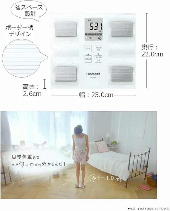 Panasonic國際牌 體重平衡計 體重計 EW-FA24