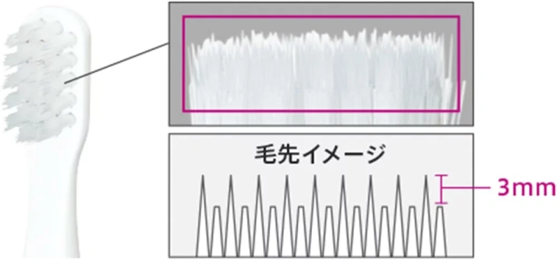 Panasonic國際牌 EW-DS42 攜帶式 ⾳波電動牙刷 24年款