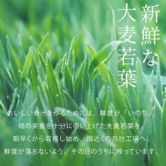 Yakult 私の青汁 私的青汁 大麥若葉青汁 食物纖維 我的青汁 青汁果汁 蔬菜