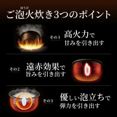 Tiger 虎牌 JPL-T100 JPL-H100新款次頂級六人份本土鍋壓力IH電子鍋 24年款