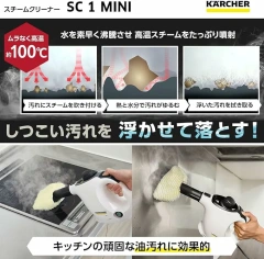 德國KARCHER 凱馳 SC4 Deluxe 多功能高壓蒸氣清洗機 含稅空運