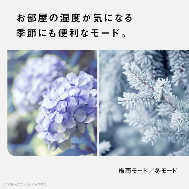 Panasonic 國際牌 F-YHX200B 衣物乾燥 除濕機 22坪 水箱5L 24年款