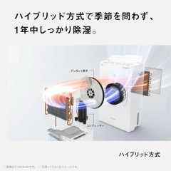Panasonic 國際牌 F-YHX200B 衣物乾燥 除濕機 22坪 水箱5L 24年款