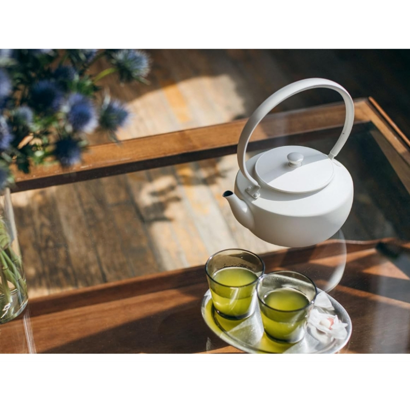 BALMUDA MoonKettle KPT02JP 溫控 快煮壺 手沖咖啡壺 防乾燒