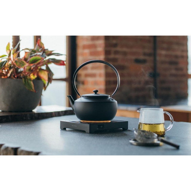 BALMUDA MoonKettle KPT02JP 溫控 快煮壺 手沖咖啡壺 防乾燒