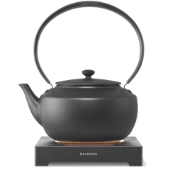 BALMUDA MoonKettle KPT02JP 溫控 快煮壺 手沖咖啡壺 防乾燒