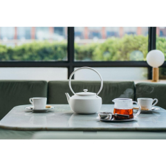 BALMUDA MoonKettle KPT02JP 溫控 快煮壺 手沖咖啡壺 防乾燒