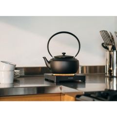 BALMUDA MoonKettle KPT02JP 溫控 快煮壺 手沖咖啡壺 防乾燒