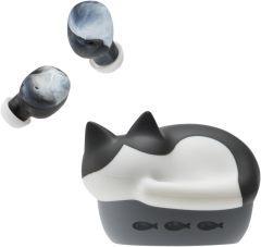 Radius NEKO 貓咪主題耳機 貓盒耳機 新三色 HP-C28B 24年款