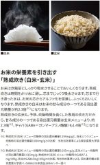ZOJIRUSHI象印 壓力IH電子鍋 小容量3人用 NP-RU05 25年款