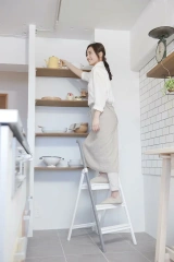 長谷川工業 長把手工作梯SS-3-三色可選