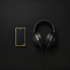 SONY 索尼 NW-WM1ZM2 Walkman數位隨身聽Signature Series 256G