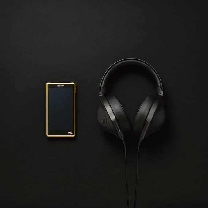 SONY 索尼 NW-WM1ZM2 Walkman數位隨身聽Signature Series 256G