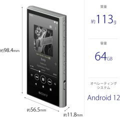 SONY 索尼 NW-A306 高解析音質 Walkman 數位隨身聽 32G