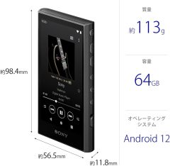 SONY 索尼 NW-A306 高解析音質 Walkman 數位隨身聽 32G