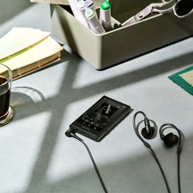 SONY 索尼 NW-A306 高解析音質 Walkman 數位隨身聽 32G