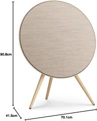 B&O BEOSOUND A9 MK5 居家視聽藍牙音響 藍牙喇叭 含稅空運