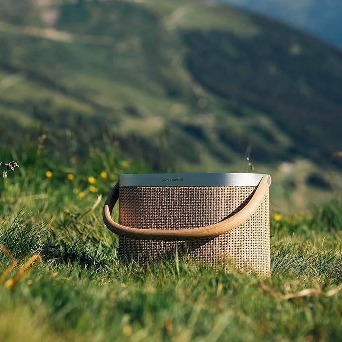 B&O Beosound A5 藍牙喇叭 可攜式音響 深色橡木 含稅空運
