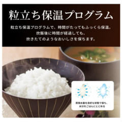 Tigee 虎牌 JRI-A100 JRI-A180 日本製 新款