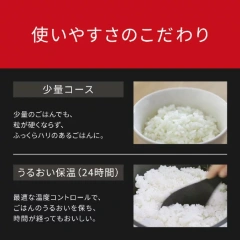 Panasonic國際牌可變壓力IH電子鍋6人用 SR-N310 25年款