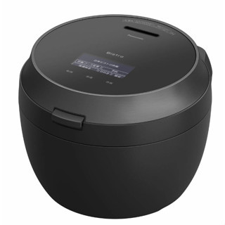 Panasonic 國際牌 頂規 SR-V10BA SR-V18BA SR-V10BB