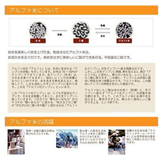 五年保存期 日本 Onisi 尾西食品 乾燥飯 防災 避難 飯糰 共8袋 4種口味 露營 地震