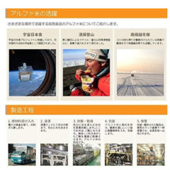 五年保存期 日本 Onisi 尾西食品 乾燥飯 防災 避難 飯糰 共8袋 4種口味 露營 地震