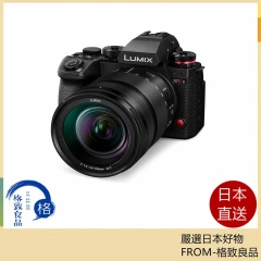 Panasonic 松下無反光鏡相機LUMIX S1M2ESM 標準鏡頭套件25年款