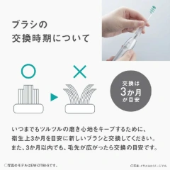 Panasonic聲波震動牙刷Doltz W聲波振動EW-DP38 25年款