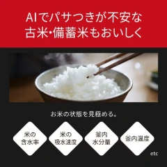 Panasonic電子鍋6人用頂級模型遠行炊Bisto 匠技SR-X910D 25年款