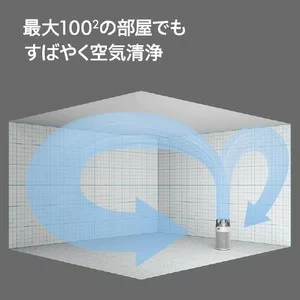 Dyson戴森Hushjet Shizuka 空氣清淨器 SP01 25年款