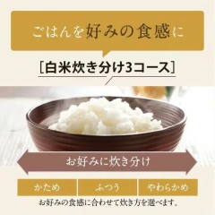 ZOJIRUSHI象印 電子鍋 極致炊煮 圓形厚釜6人用 NW-VK10 25年款