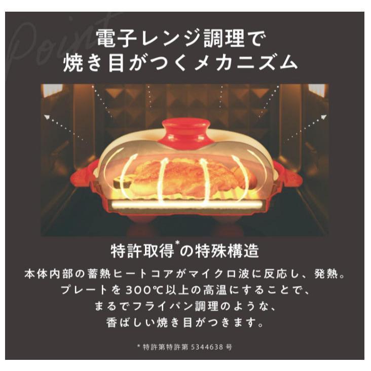 RANGEMATE PRO 微波爐專用調理鍋 烤盤 無油 健康 烤魚 易清潔 萬能調理器 韓国製