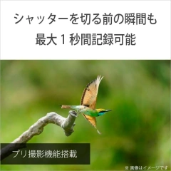 SONY索尼 α7v數位單眼相機 全尺寸 ILCE-7M5 26年款