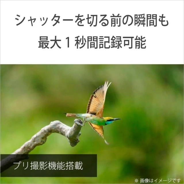 SONY索尼 α7v數位單眼相機 全尺寸 ILCE-7M5 26年款