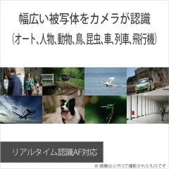 SONY索尼 α7v數位單眼相機 全尺寸 ILCE-7M5 26年款