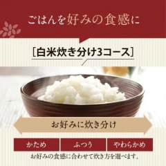 ZOJIRUSHI象印 電子鍋IH 極致炊煮 10人用 NW-QB18 25年款