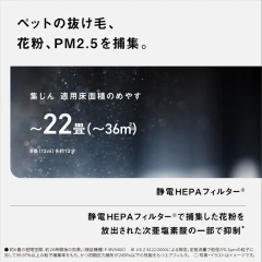 Panasonic國際牌 空氣清淨機 除菌脫臭機 淨化 22畳 F-MV5000C 25年款