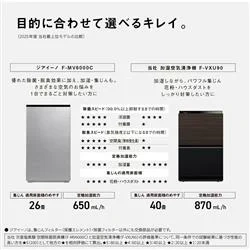 Panasonic國際牌 空氣清淨機 除菌脱臭機 22畳 F-MV5020C 25年款