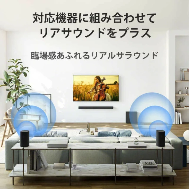 SONY索尼 音箱無線後置揚聲器《BRAVIA Theatre Rear 8》25年款