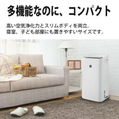 SHARP夏普 除濕加濕空氣清淨機 附衣物烘乾模式 KI-UD50 26年款