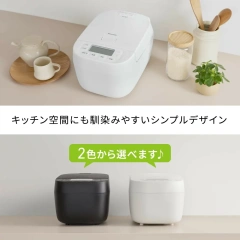 Panasonic國際牌 可變壓力IH電子鍋 6人用 SR-N310E 26年款