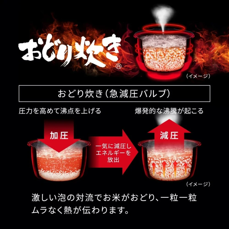 Panasonic國際牌 可變壓力IH電子鍋 6人用 SR-N310E 26年款