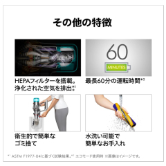 Dyson V12 Detect Slim Fluffy SV46 FF