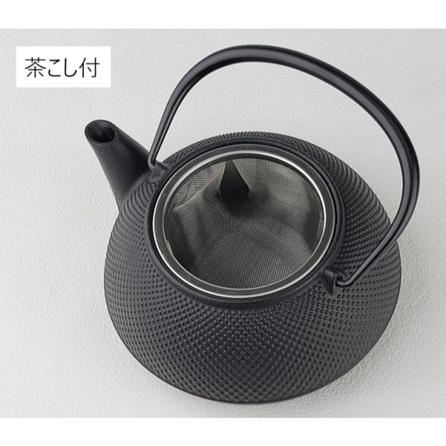 岩鋳 Iwachu 日本製 南部鉄器 鉄瓶兼用急須