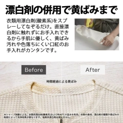 SHARP夏普 超音波清洗機 銀色 UW-X1 充電式 23年款