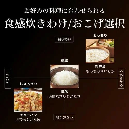 TIGER虎牌 電子鍋 陶鍋式壓力IH 6人用 氣泡火炊飯 JRL-A100 26年款